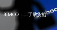 BIMCO：二手散貨船市場年內增長速度創紀錄