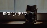 BIGIP(關(guān)于BIGIP簡(jiǎn)述)