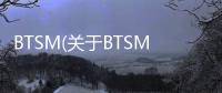 BTSM(關于BTSM簡述)