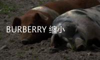 BURBERRY 縮小版的“成人系列” 打破陳新