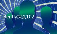 Bently探頭102044