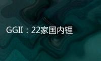 GGII：22家國內鋰電材料海外投資超1300億元