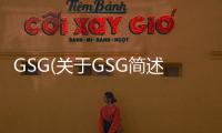 GSG(關(guān)于GSG簡述)