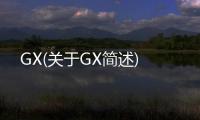 GX(關于GX簡述)