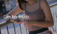 Gecko Switch智能移動開關：支持iOS和Android系統