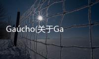 Gaúcho(關于Gaúcho簡述)