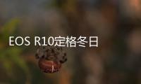 EOS R10定格冬日浪漫：捕捉冬日人像之美