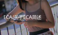 ECA(關(guān)于ECA簡(jiǎn)述)