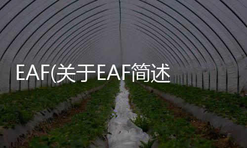 EAF(關于EAF簡述)