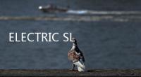 ELECTRIC SLO