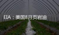 EIA：美國8月頁巖油產量將下降 降幅為2007年來最大