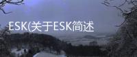 ESK(關于ESK簡述)