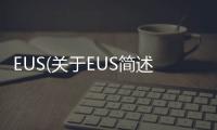 EUS(關于EUS簡述)