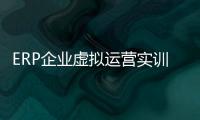 ERP企業虛擬運營實訓教程(關于ERP企業虛擬運營實訓教程簡述)