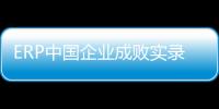 ERP中國企業成敗實錄(關于ERP中國企業成敗實錄簡述)