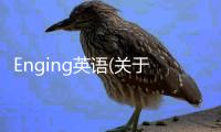 Enging英語(關于Enging英語簡述)