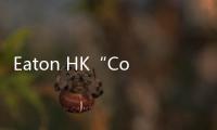 Eaton HK“Colony Kids市集：Local Local”首次舉辦，支持本土創作