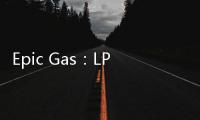 Epic Gas：LPG航運市場將在2019年迎來好轉