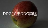 DDG(關于DDG簡述)