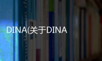 DINA(關于DINA簡述)