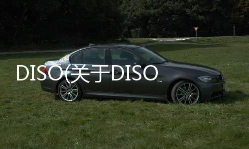 DISO(關于DISO簡述)