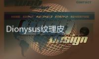 Dionysus紋理皮革單肩包(關(guān)于Dionysus紋理皮革單肩包簡(jiǎn)述)