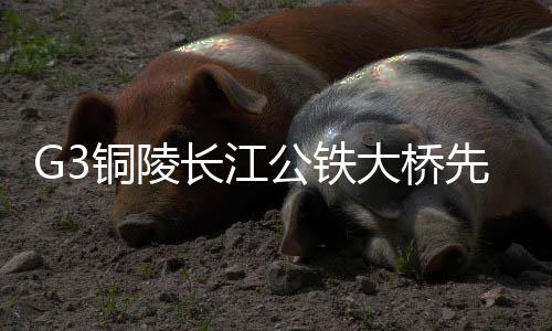 G3銅陵長江公鐵大橋先導索成功過江