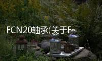 FCN20軸承(關(guān)于FCN20軸承簡(jiǎn)述)