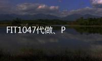 FIT1047代做、Python/c++程序語言代寫