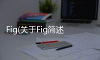 Fig(關(guān)于Fig簡述)