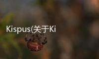 Kispus(關(guān)于Kispus簡(jiǎn)述)