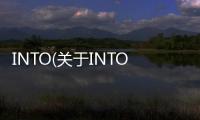 INTO(關(guān)于INTO簡述)