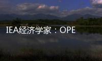 IEA經(jīng)濟(jì)學(xué)家：OPEC會(huì)議前對(duì)高油價(jià)發(fā)出警告