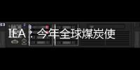 IEA：今年全球煤炭使用量將保持在創紀錄水平