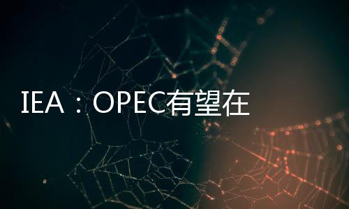 IEA：OPEC有望在2021年提高石油產量