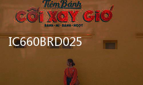 IC660BRD025@IC660BRD025