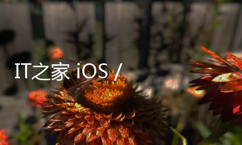 IT之家 iOS / 安卓版 8.30 超重磅新版：快，已史無前例！