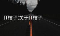 IT桔子(關(guān)于IT桔子簡(jiǎn)述)