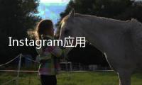 Instagram應用程序已成為當今世界上最受歡迎的社交媒體平臺之一