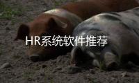 HR系統(tǒng)軟件推薦