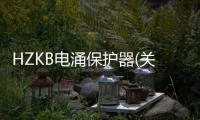 HZKB電涌保護器(關于HZKB電涌保護器簡述)