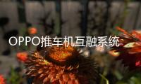 OPPO推車機(jī)互融系統(tǒng)解決方案：OPPO Carlink