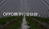 OPPO攜手行業伙伴，共同打造優質內容生態