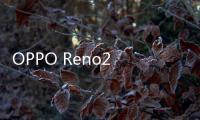 OPPO Reno2 Z手機(jī)root