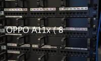 OPPO A11x（8GB/128GB/全網通）手機忘了密碼怎么辦？輕松線刷刷機工具