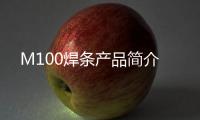 M100焊條產(chǎn)品簡介