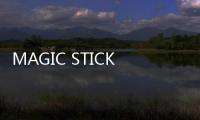 MAGIC STICK 2021 全新春夏系列 Lookbook 賞析