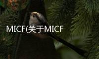 MICF(關于MICF簡述)