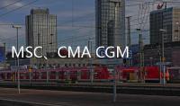 MSC、CMA CGM、Evergreen和Zim是2022年最活躍的貨船制造商