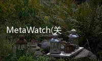 MetaWatch(關于MetaWatch簡述)